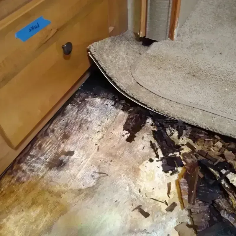 Best Wood Floor Water Damage Service in Heidelberg, TX